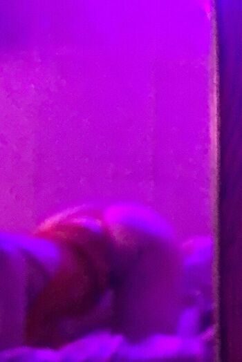 Full leaked Aixa palacio private onlyfans photo