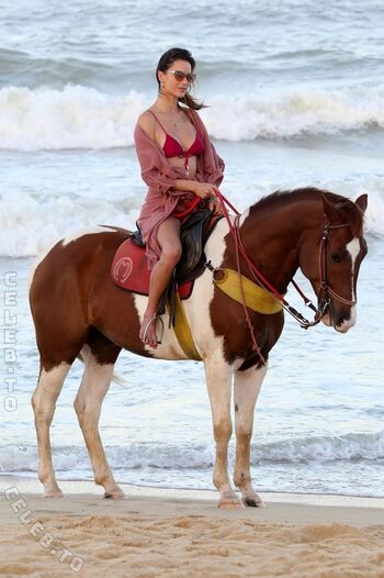 🔥 Alessandra ambrosio  page leaked private photo uncensored full