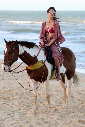 🔥 Alessandra ambrosio  page leaked private photo uncensored full