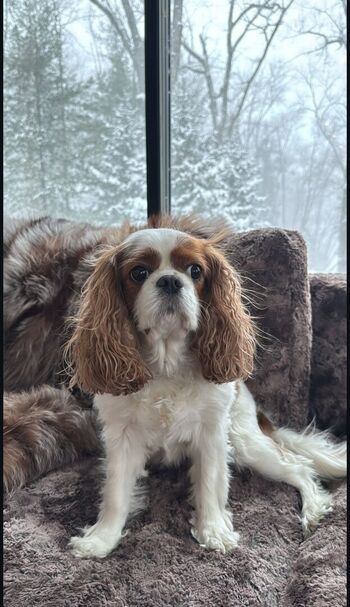 🔥 Ashley tervort  page leaked private photo uncensored full