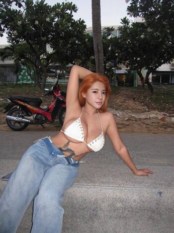 asiasharkyx.ig