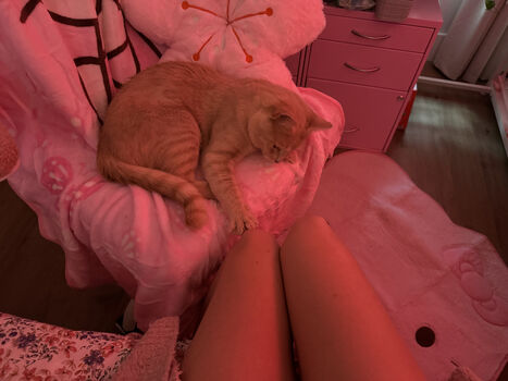 🔥 Beebee asmr page leaked private photo uncensored full