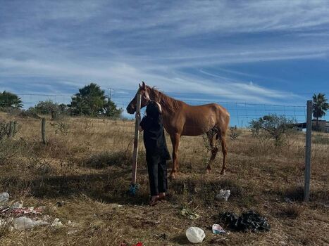 🔥 Billie eilish  page leaked private photo uncensored full