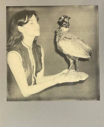 🔥 Charlotte dalessio leaked private photo uncensored full