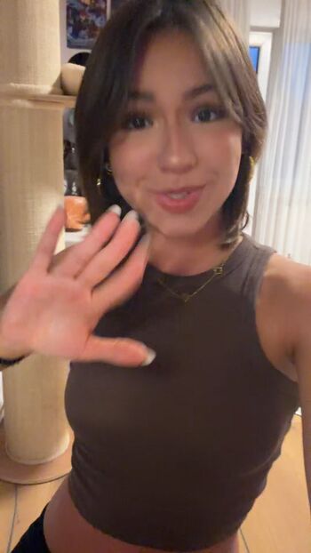emmilovscats