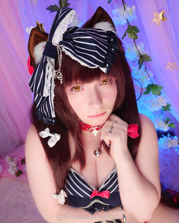 Erokawa Nekomi