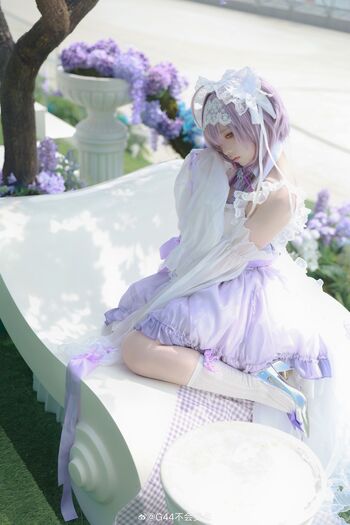 g44gallery