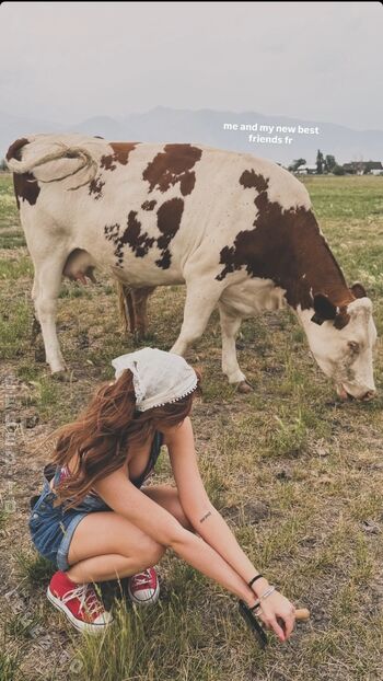 Hannah Stein