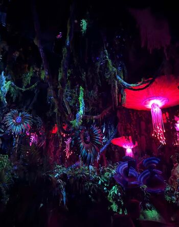 🔥 Hirai momo page leaked private photo uncensored full