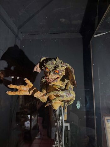 🔥 Hirai momo page leaked private photo uncensored full