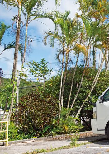 🔥 Jav actress gravure page leaked private photo uncensored full