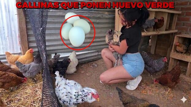 Full leaked La criadora de gallinas private onlyfans photo
