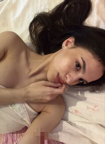 lasibilla_