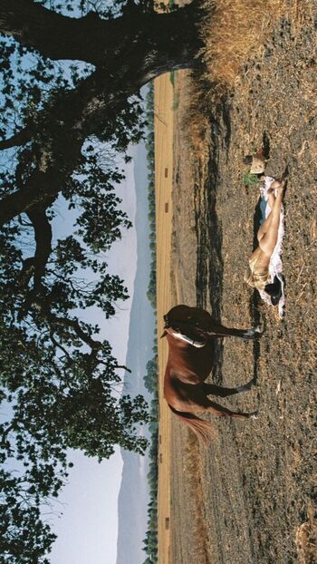 🔥 Leah rose leaked private photo uncensored full