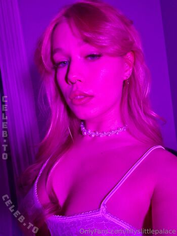 LillysLittlePalace