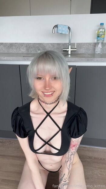 little_emo_kitten