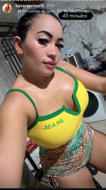 Luizarsantos