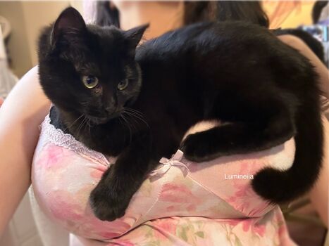 🔥 Lumineiia page leaked private photo uncensored full