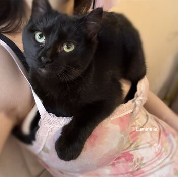 🔥 Lumineiia page leaked private photo uncensored full