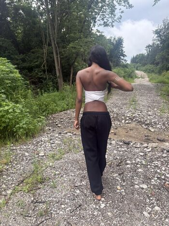 No Tattoos