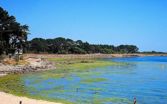 🔥 Pat castillo leaked private photo uncensored full