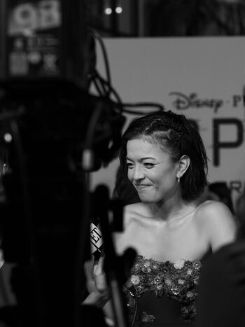 Piper Curda