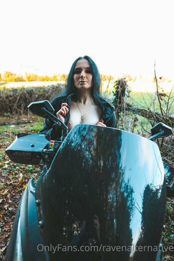raven_alternative