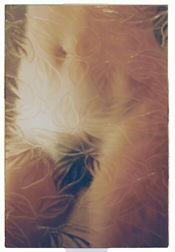 🔥 Seren gibson page leaked private photo uncensored full