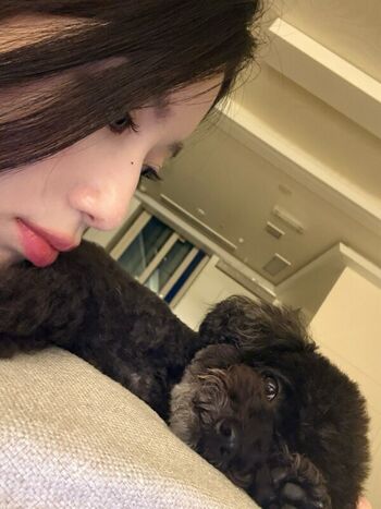 Shuhua