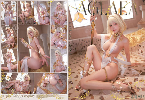 shuimiaoaqua