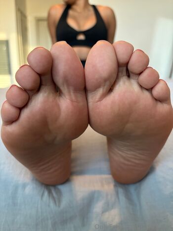 shys.soles