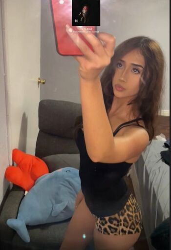 Sillyamberr
