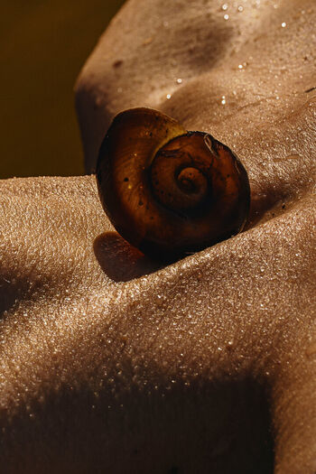 🔥 Solomia maievska page leaked private photo uncensored full