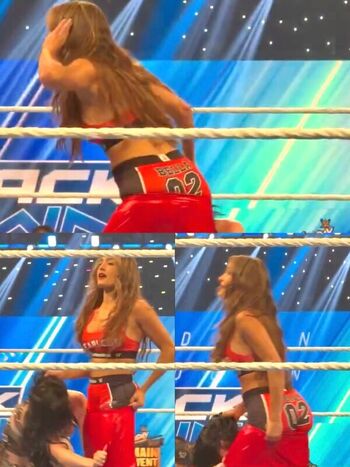 The Bella Twins