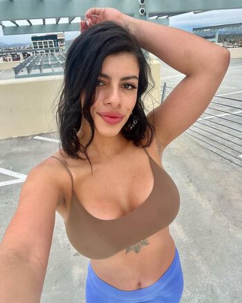 Thefitkitty