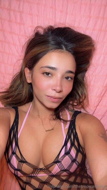 thetropicaldiosa