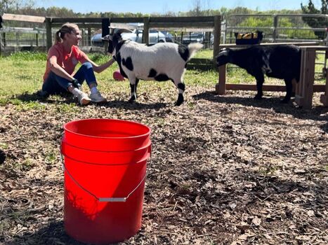 🔥 Tricia helfer page leaked private photo uncensored full