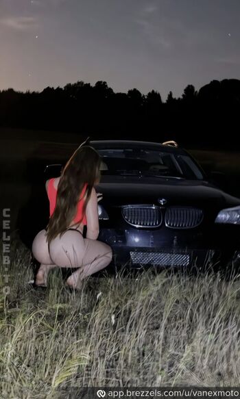 Vanexmoto