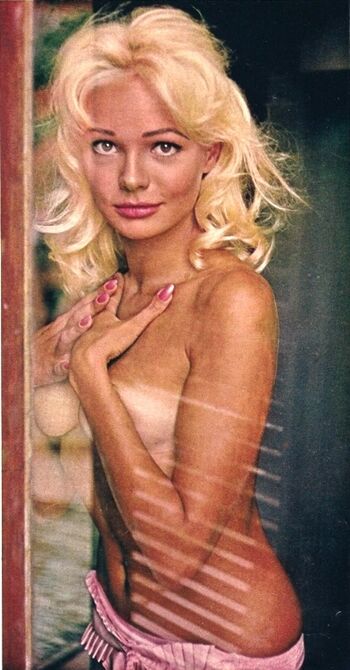 Vintage Starlets