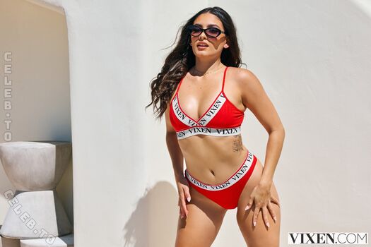 Vixen